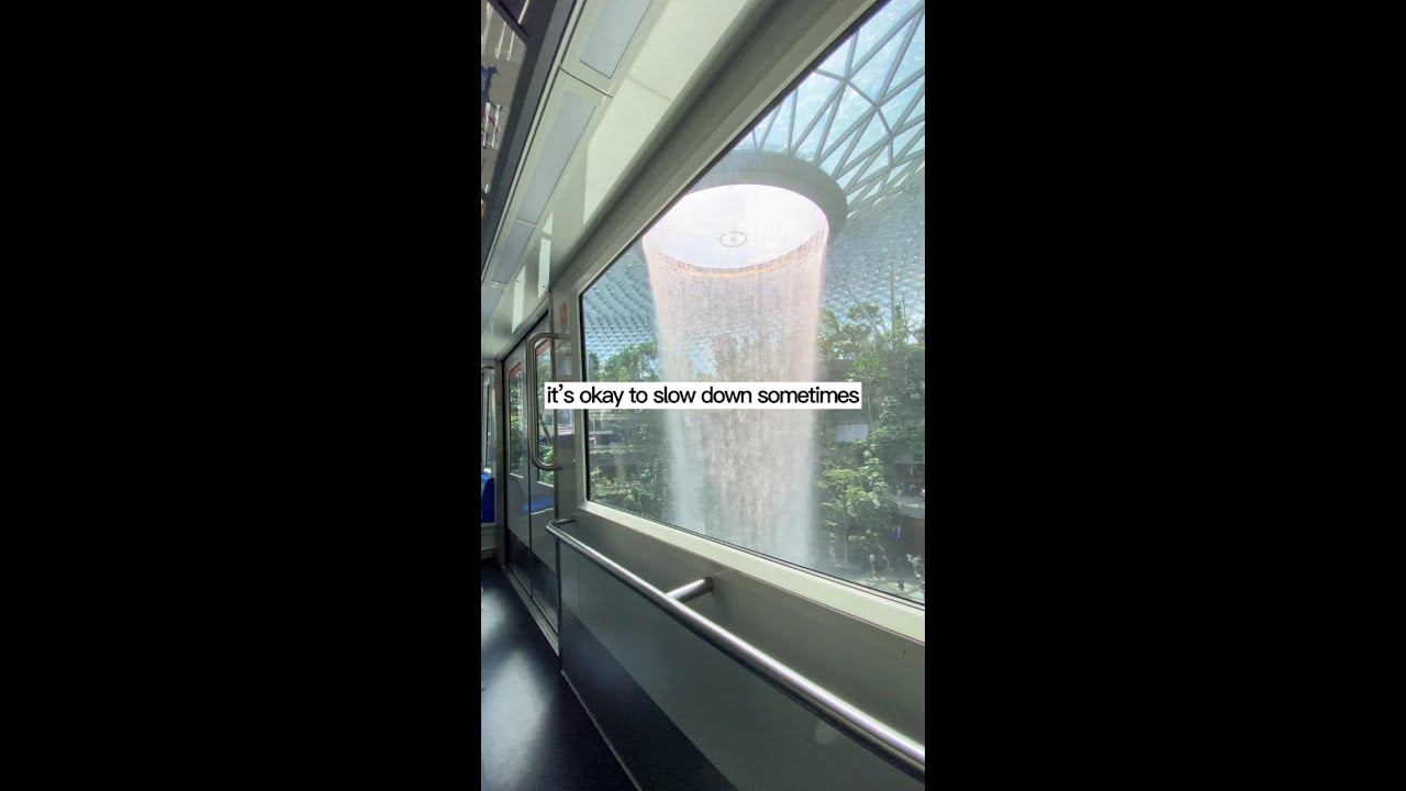 Take the skytrain through Jewel's HSBC Rain Vortex