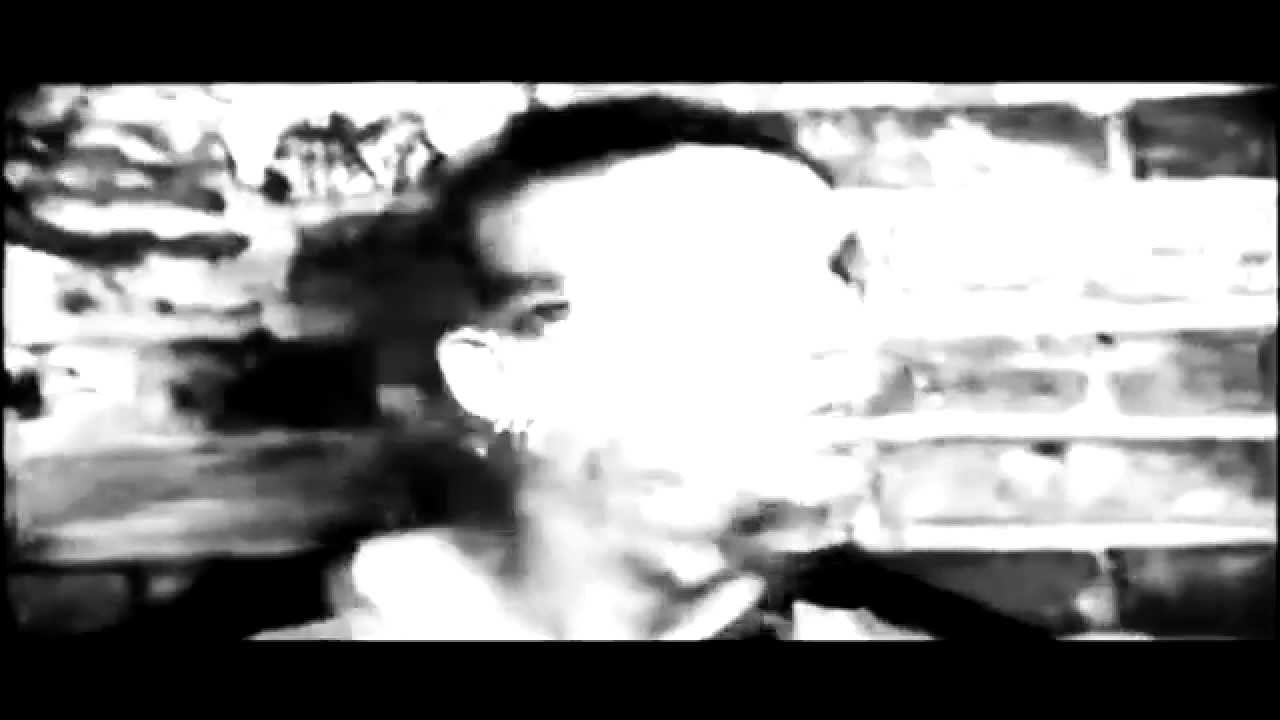 Flaw - Endangered Species