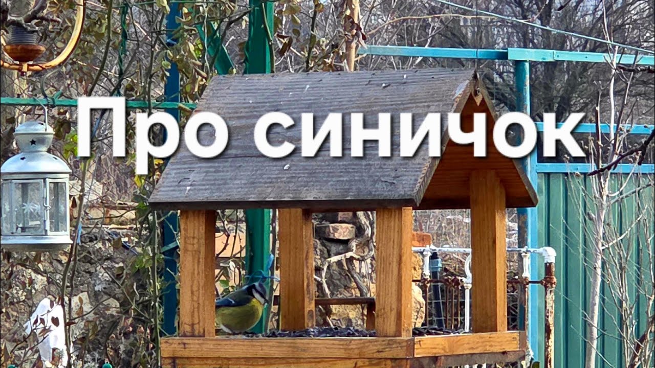 Про синичок
