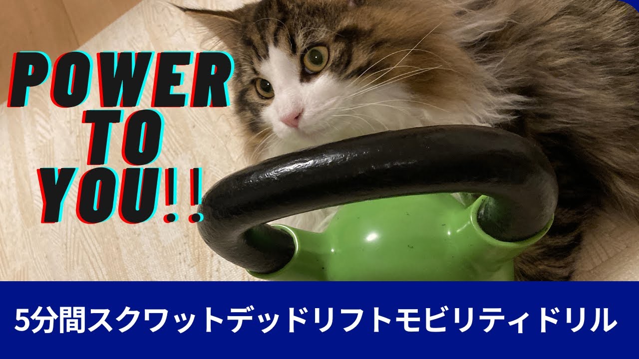 5分間スクワットデッドリフトのウォーミングアップモビリティ