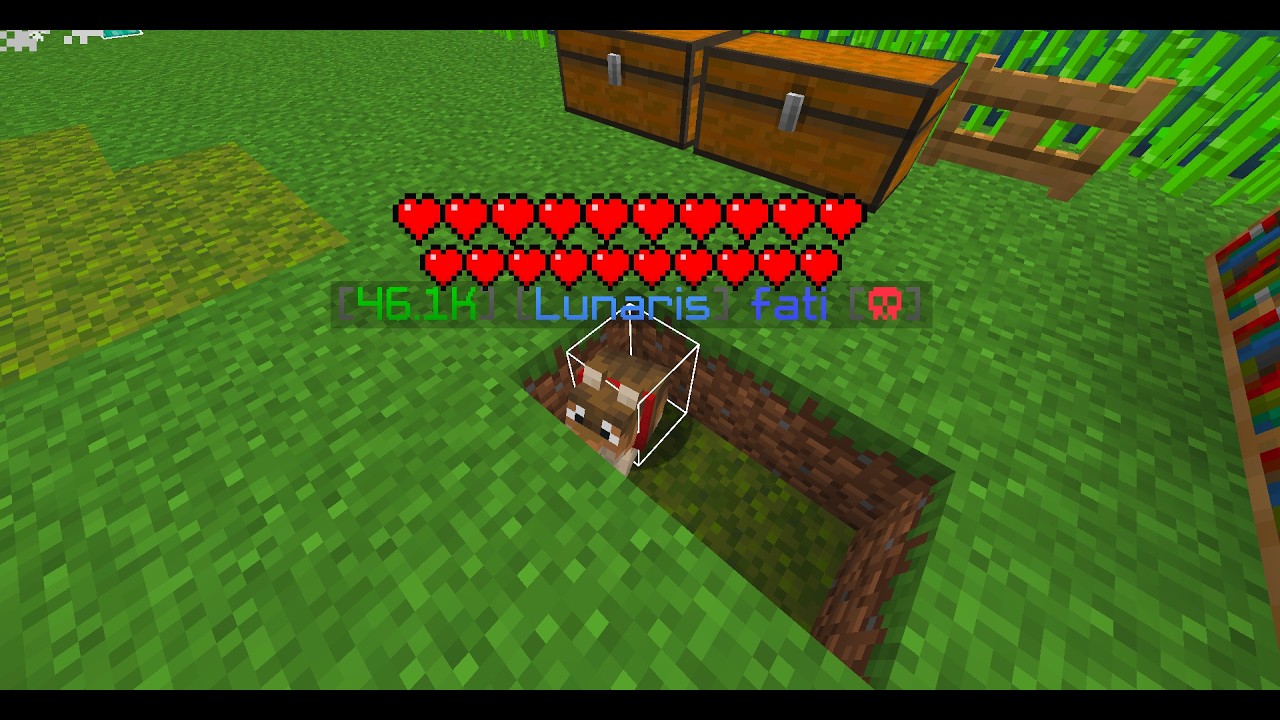 CraftPando Kill Montage