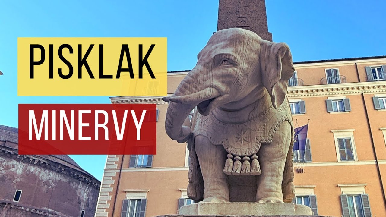 #7 Pisklak Minervy
