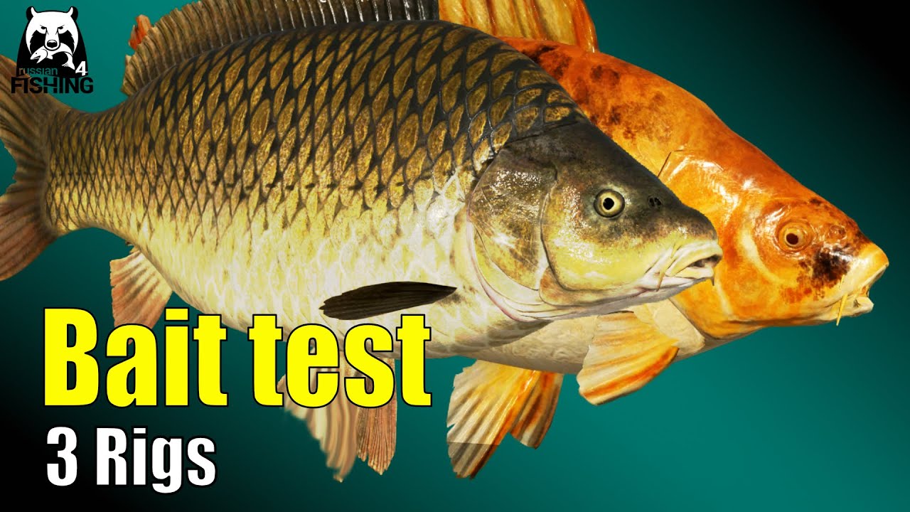 Russian Fishing 4 - Озеро Амбер - Тестируемая приманка! Очень простая - с прикормкой и без нее! #rf4