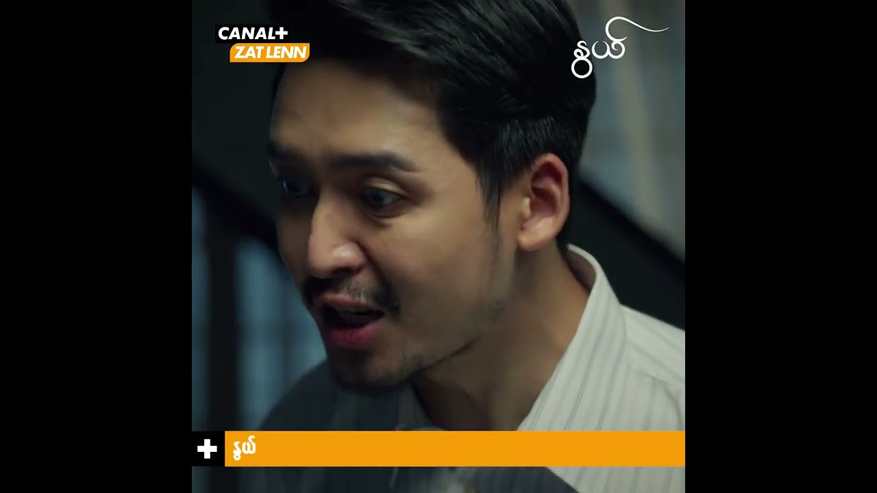 သွေးဆေး | နွယ် | CANAL+ တွင်ကြည့်ရှုပါ။