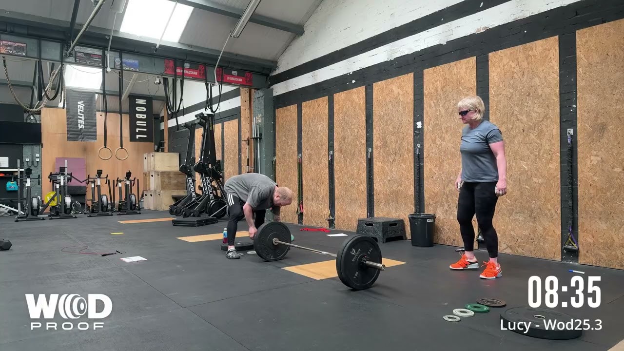 25.3