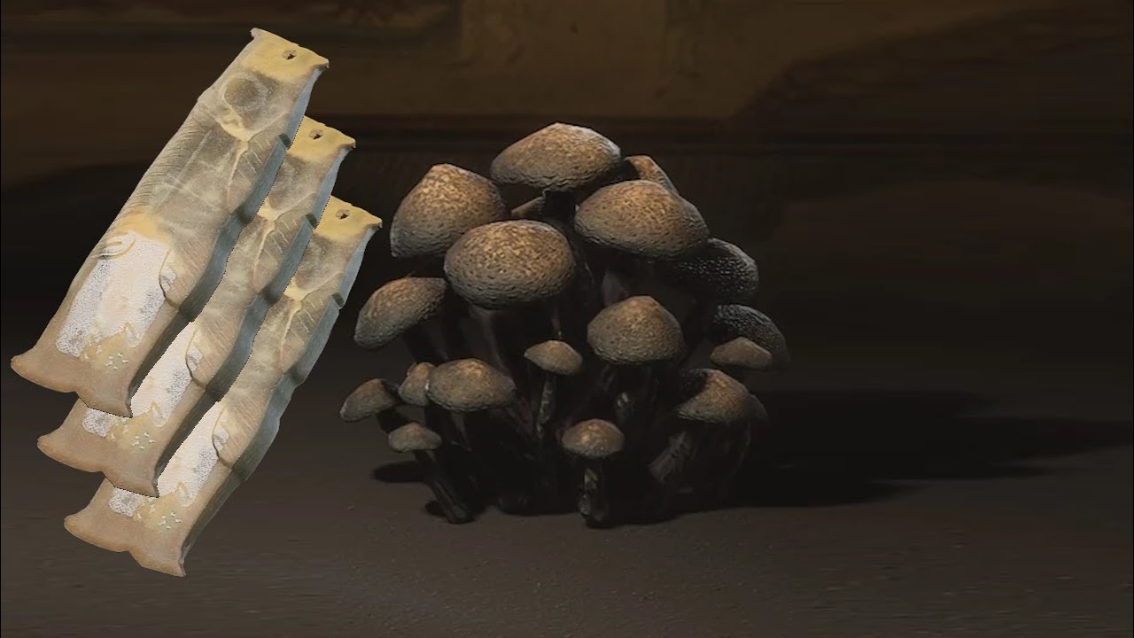 Fastest Monkey-Head Fungus farm (Black Myth: Wukong)