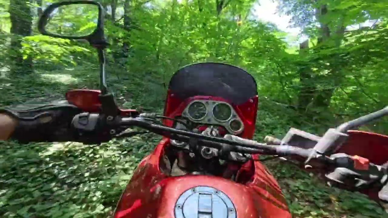 Aprilia Pegaso 650 cube - off-road and forrest ride
