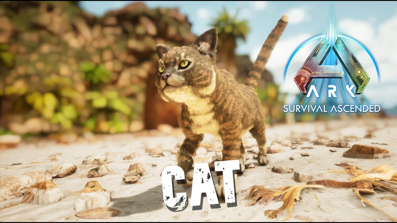 Taming A Cat | Ark Survival Ascended | The Island