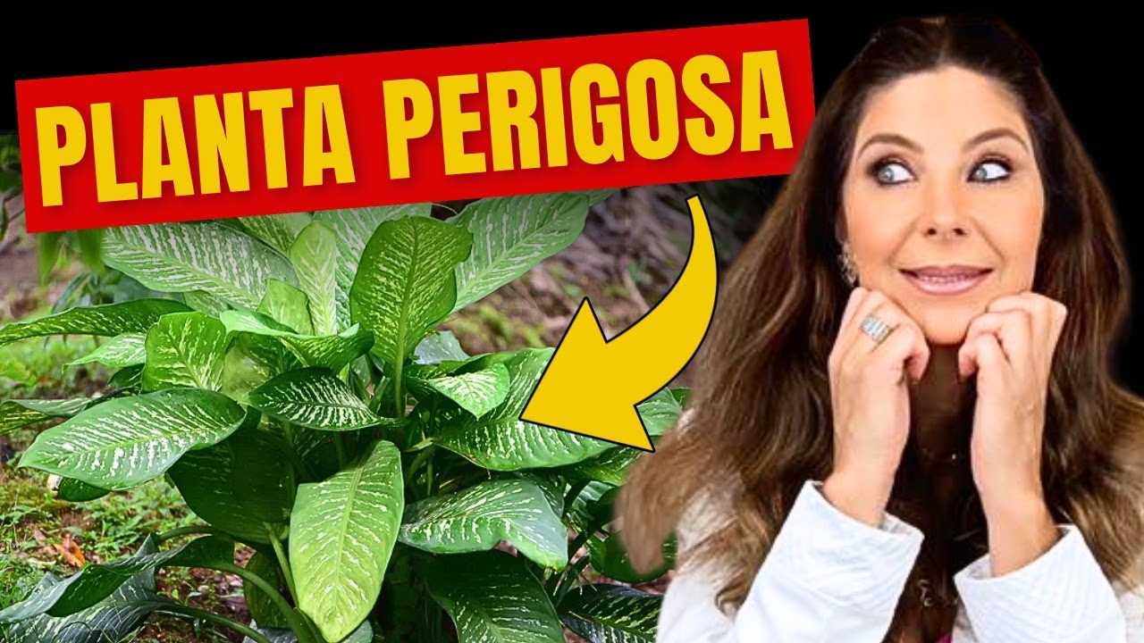 Oftalmologista Alerta: Planta Comum Pode Prejudicar Sua Visão