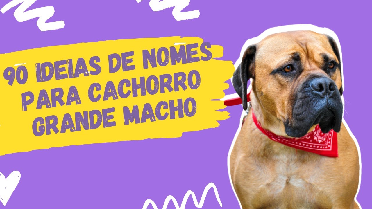 🐶90 IDEIAS de Nomes Super Criativos para Cachorro Grande MACHO