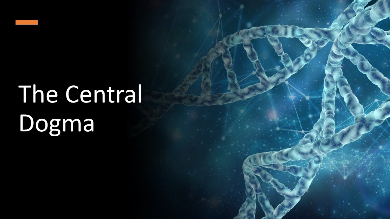 The Central Dogma