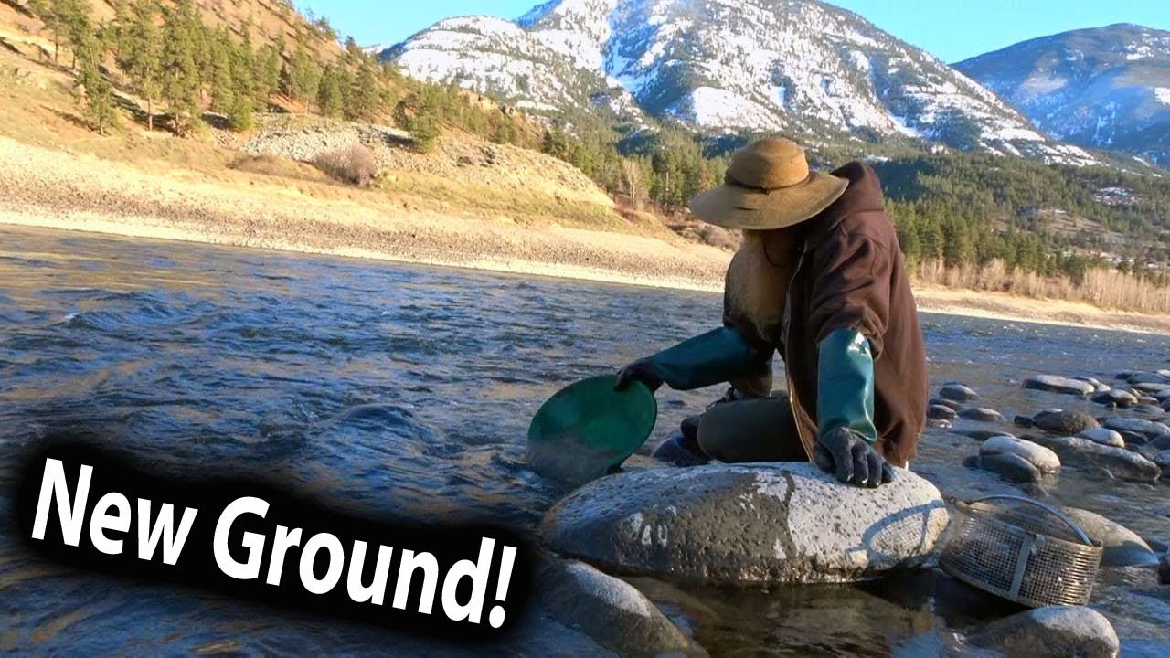 Gold panning and finding gold, new ground on Fraser river.