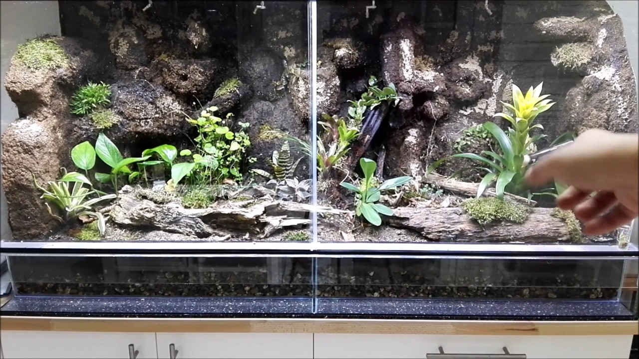 Tropenterrarium Folge 7 Fertigstellung