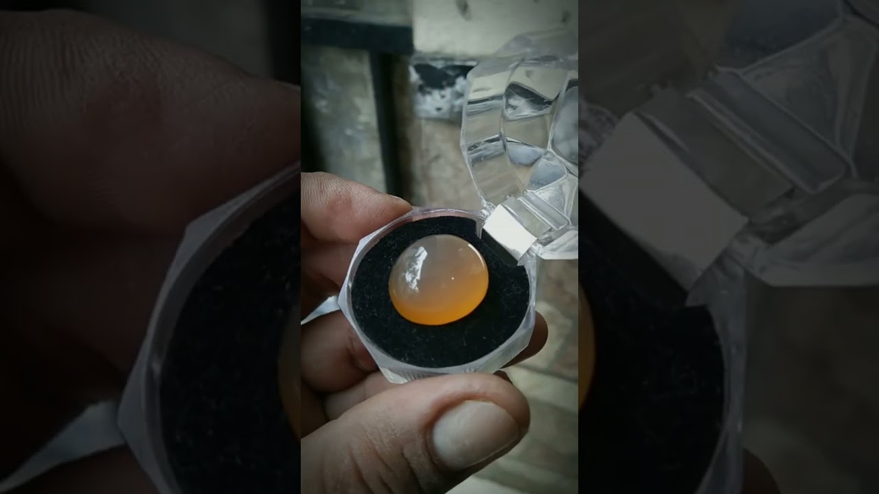 Bacan obi nukleus alas kuning