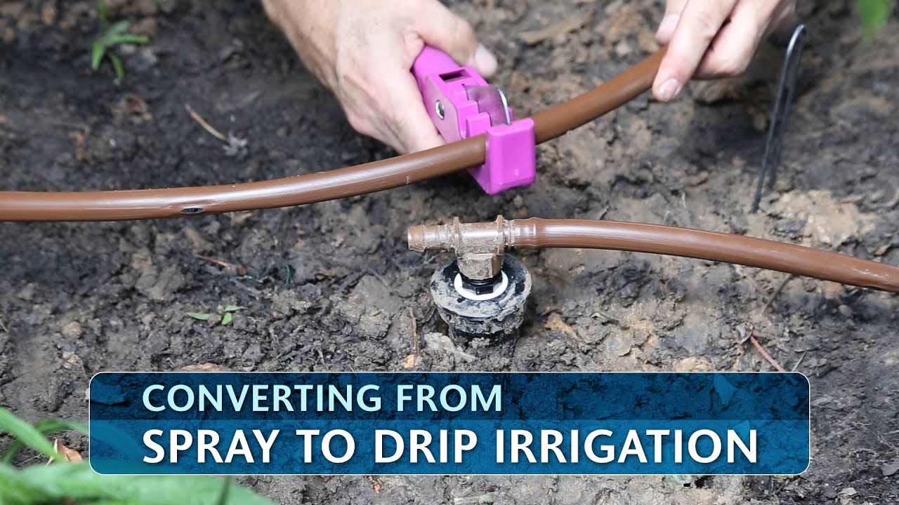 Converting From Spray to Drip Irrigation