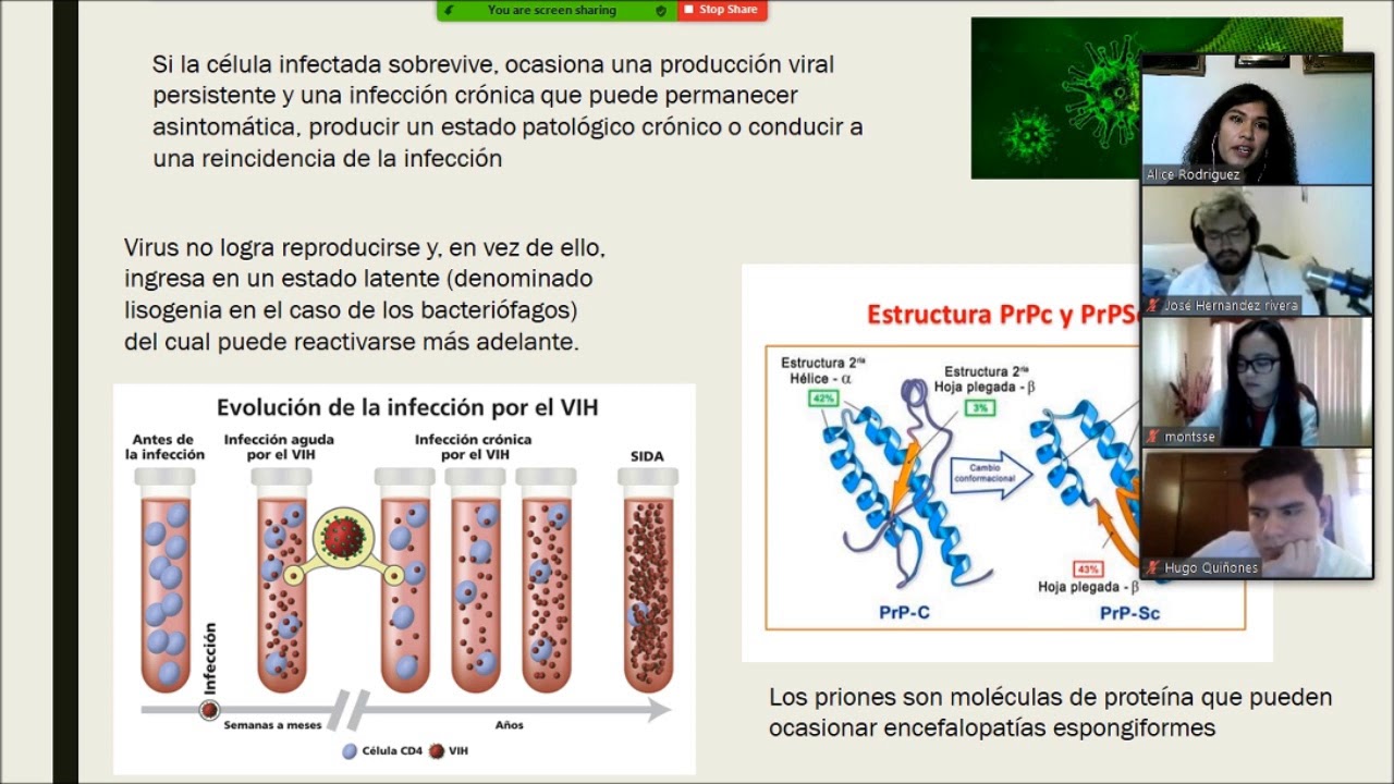 Virología,  Introducción y partes de un virus
