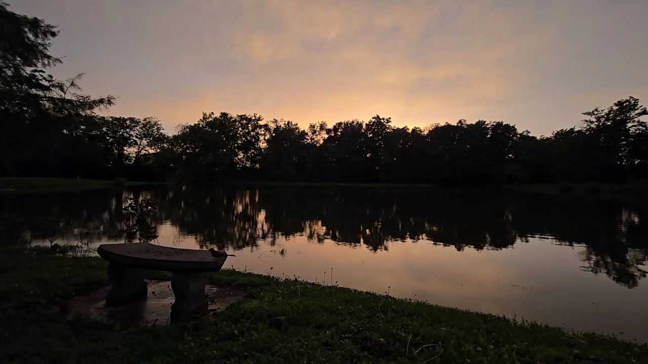 Relax to Soft Peach Sunset with Classical Music