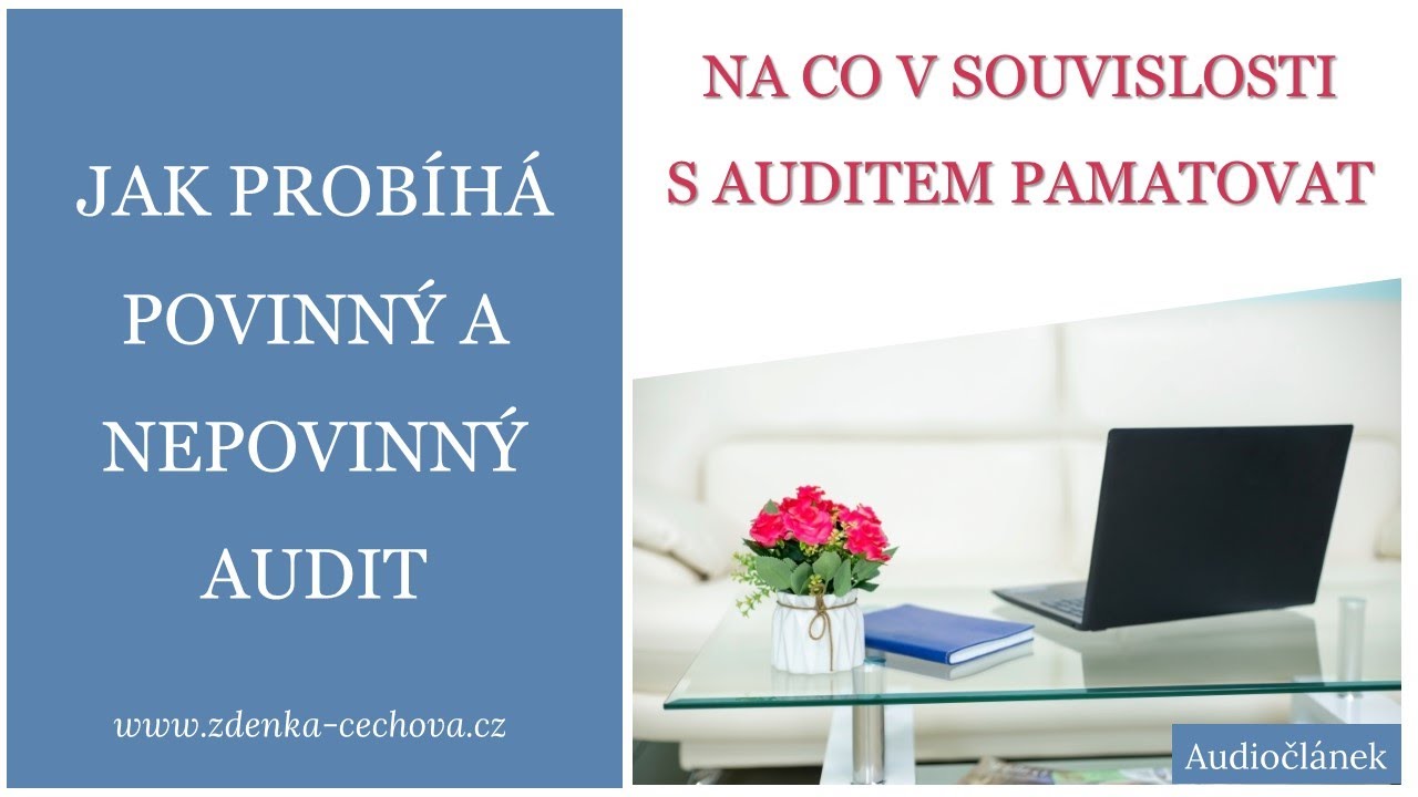 Jak probíhá audit společnosti