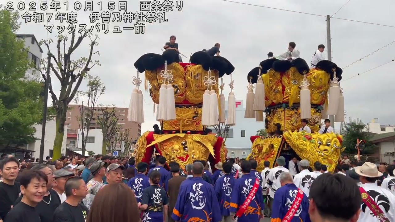 ２０２５年１０月１５日 西条祭り 令和７年度 伊曽乃神社祭礼 マックスバリュー前旧ハルク前 御輿４台練り