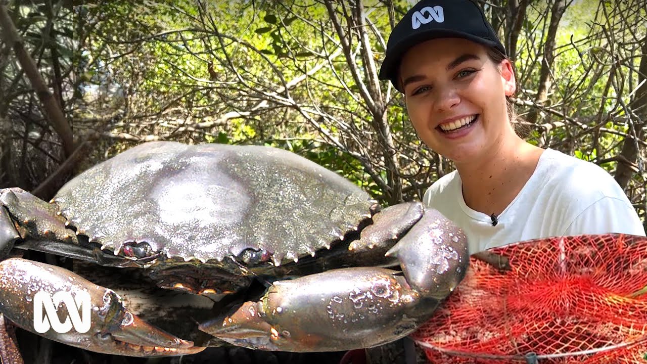 Catching and cooking the ‘lobster of the north’ | ABC Australia