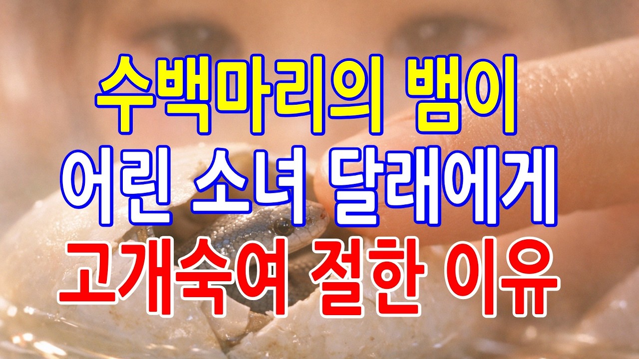 쏘쿨극장 [재미있고 기이한 옛날이야기] 미물부터 신령과 부처까지 감동하게 만든 소녀