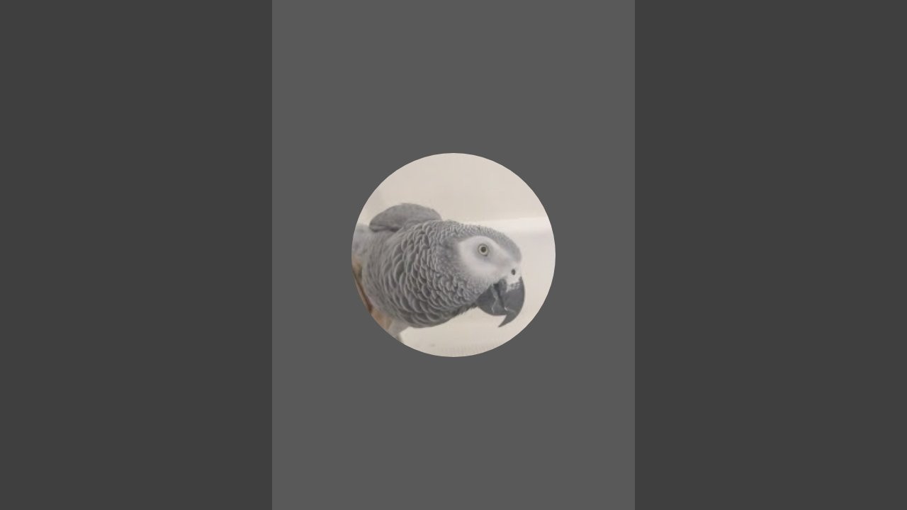 The Bird Nerd is live!