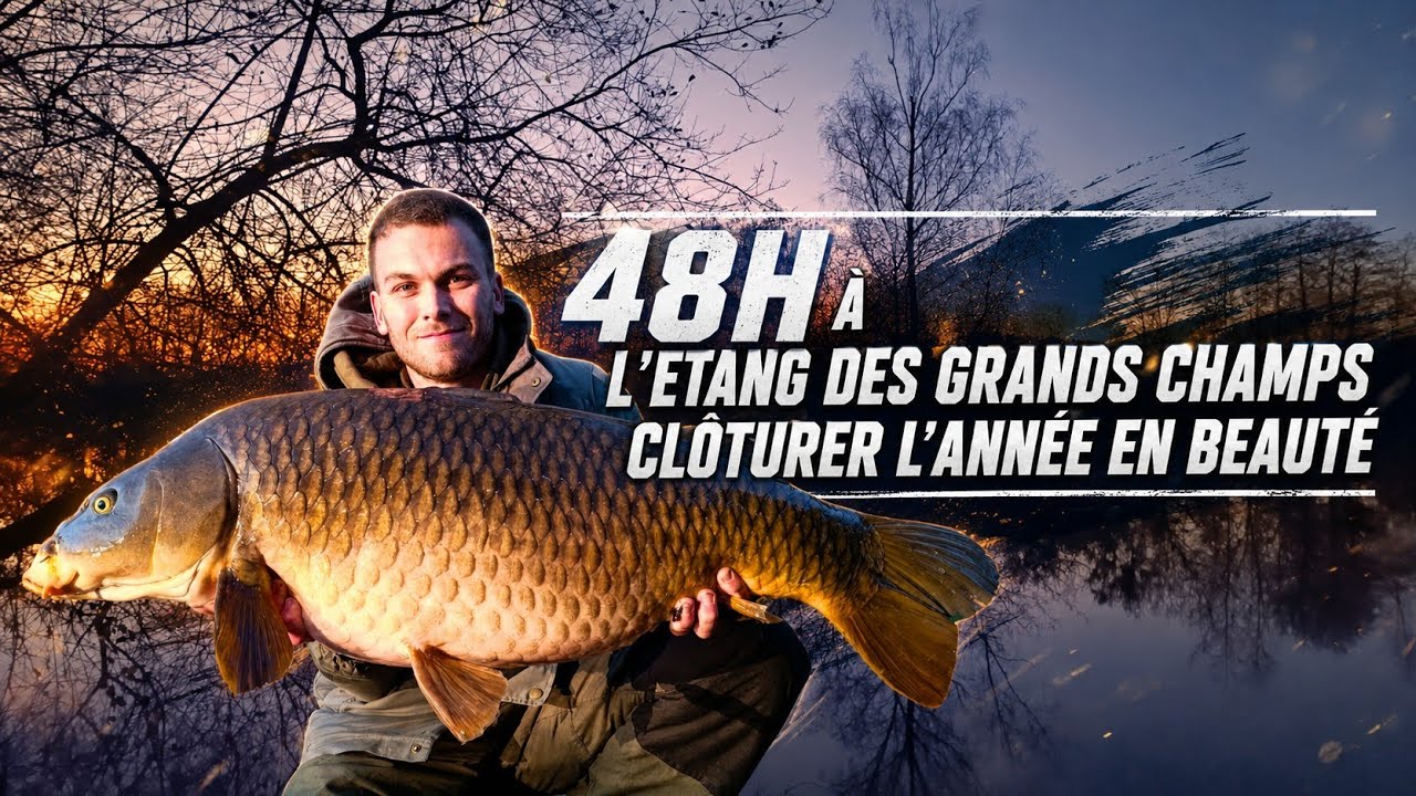 48h à l'étang des grands champs : Clôturer l'année en beauté