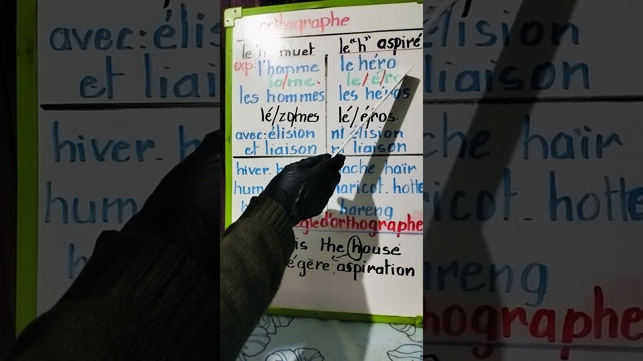 Différence entre le ( h ) muet et le (h) aspiré 