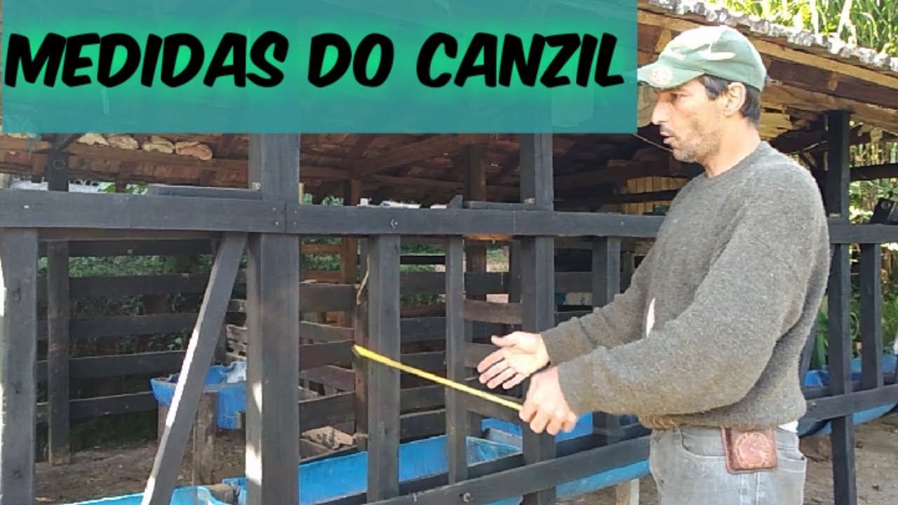 MEDIDAS DO CANZIL  de madeira para gado leiteiro.