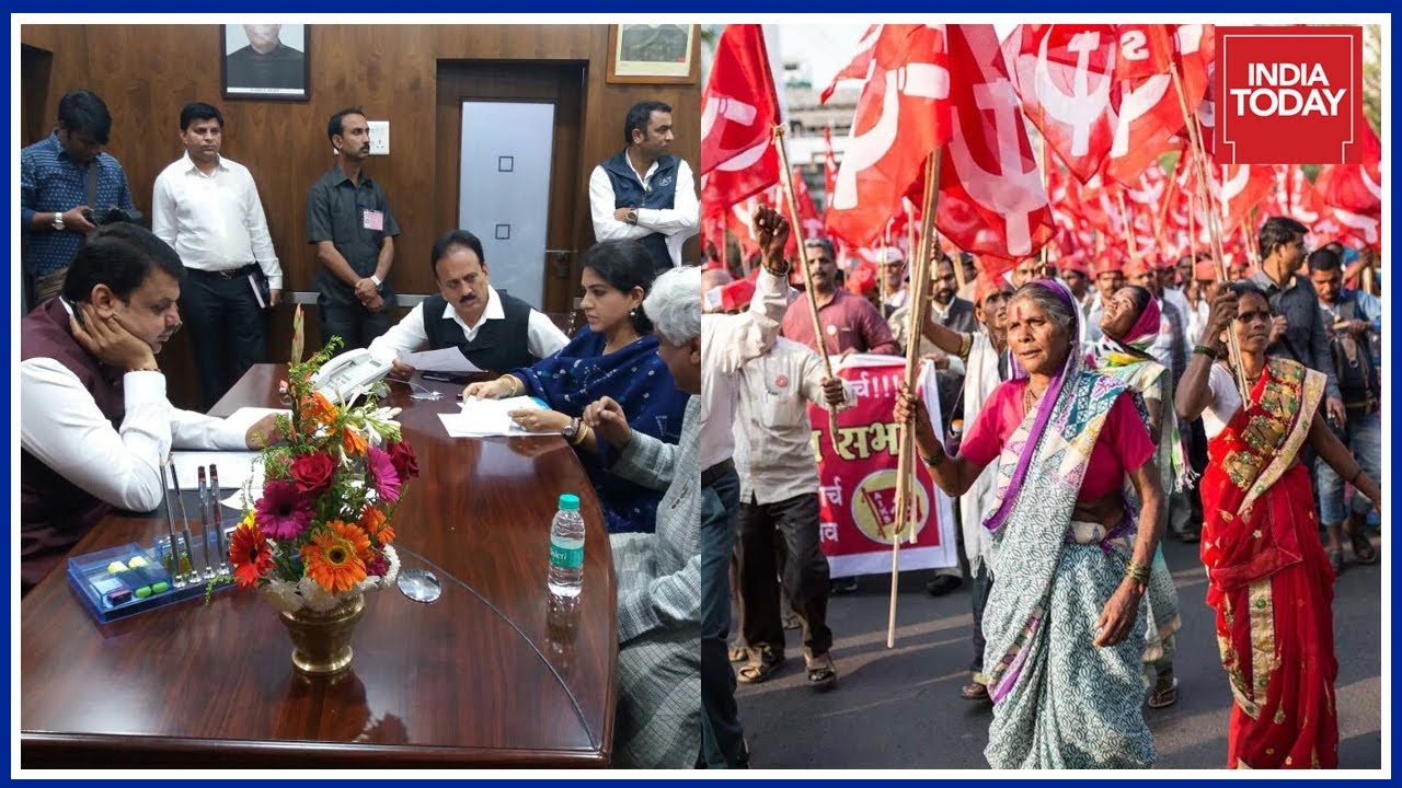 Fadnavis Forms High-Level Committee To Look Into Farmers' Demands | Farmers' Crisis