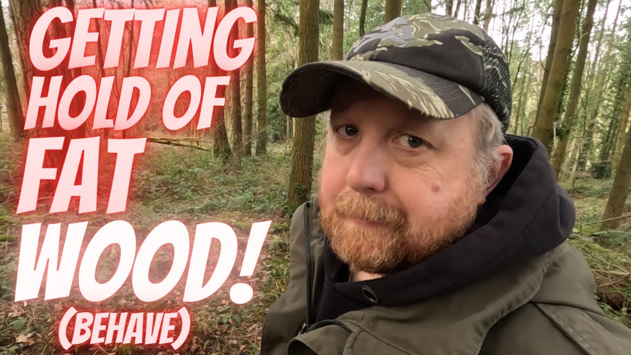 Finding Fatwood in the forest to start a Fire.