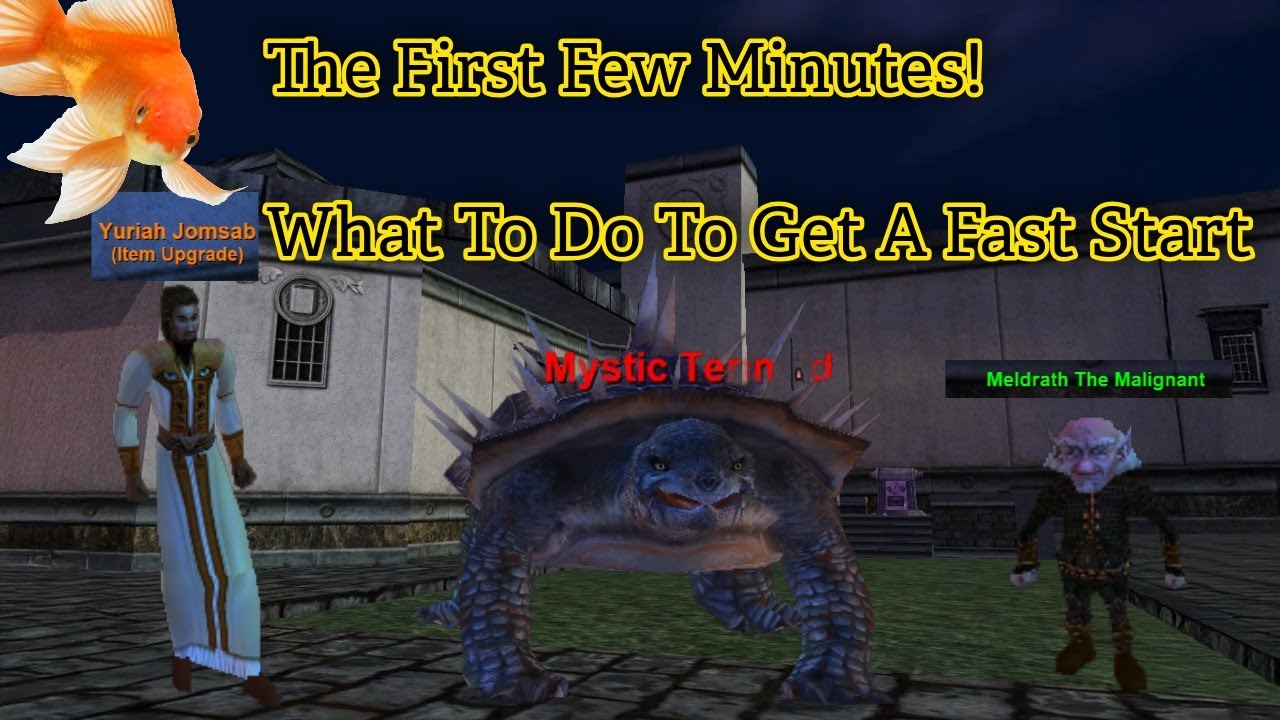 Perky Crew EverQuest Beginner Guide: First Steps in Plane of Knowledge from Level 1!