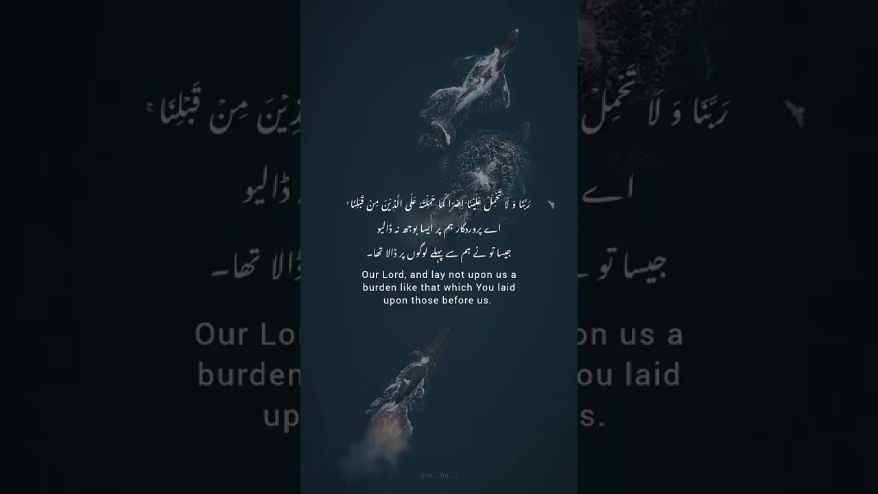 #islamicshorts #urduislamicvideo