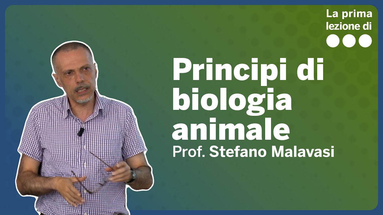 La prima lezione di Principi di biologia animale - Stefano Malavasi