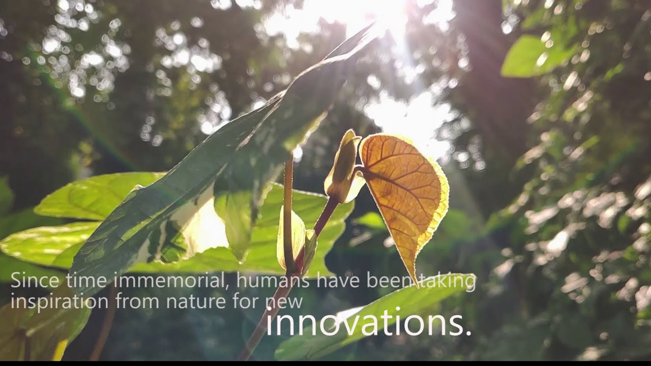 Innovative application inspired from Samara. [ The M.S. University of Baroda ]