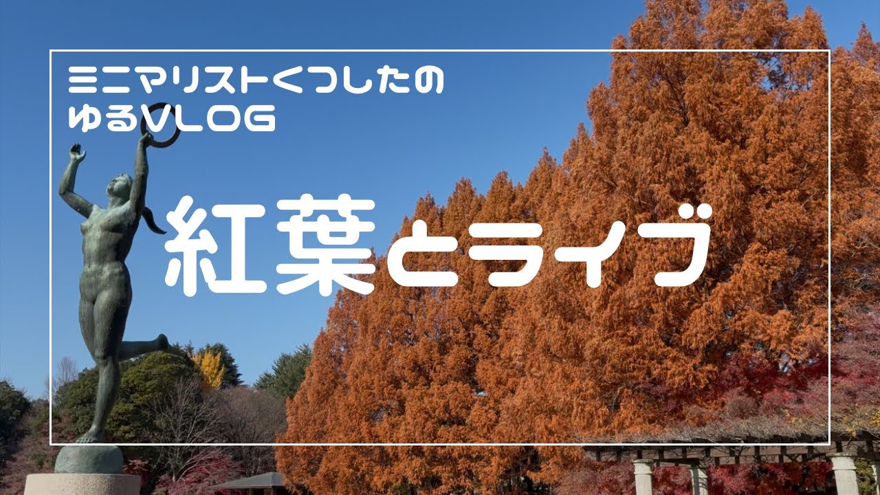 【30歳一人暮らし】紅葉とライブ / VLOG