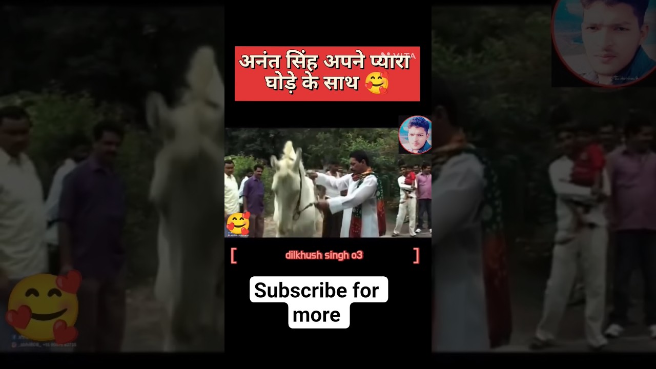अपने प्यारा घोड़े के साथ 🥰।। अनंत सिंह।। मोकामा।।#youtubeshorts#anantsingh#mokama#barh#patnanews