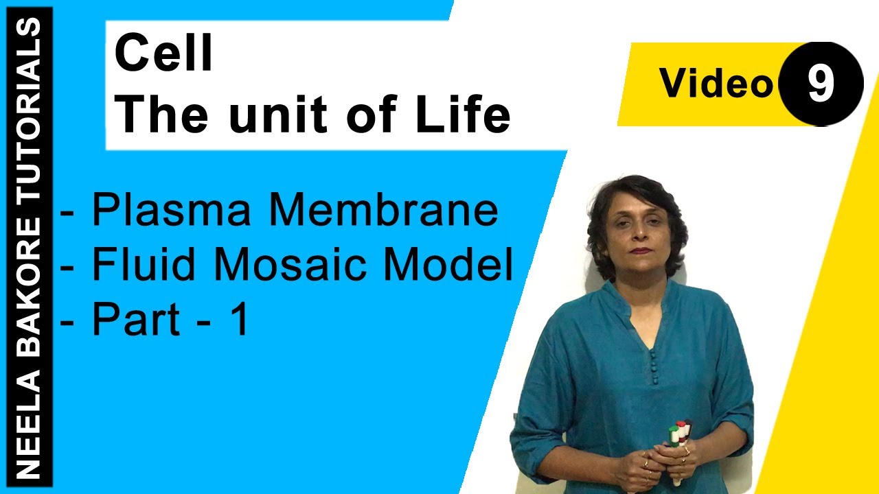 Cell - The unit of Life | NEET | Plasma Membrane - Fluid Mosaic Model - Part - 1 | Neela Bakore