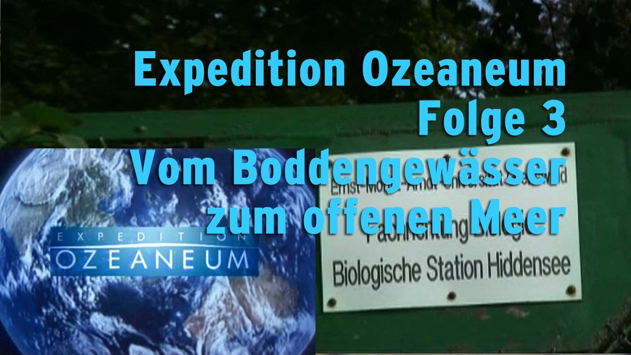 Ozeaneum Folge 3 „Vom Boddengewässer zum offenen Meer