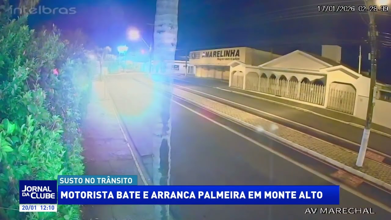Motorista bate e arranca palmeira em Monte Alto - Jornal da Clube (20/01/2026)