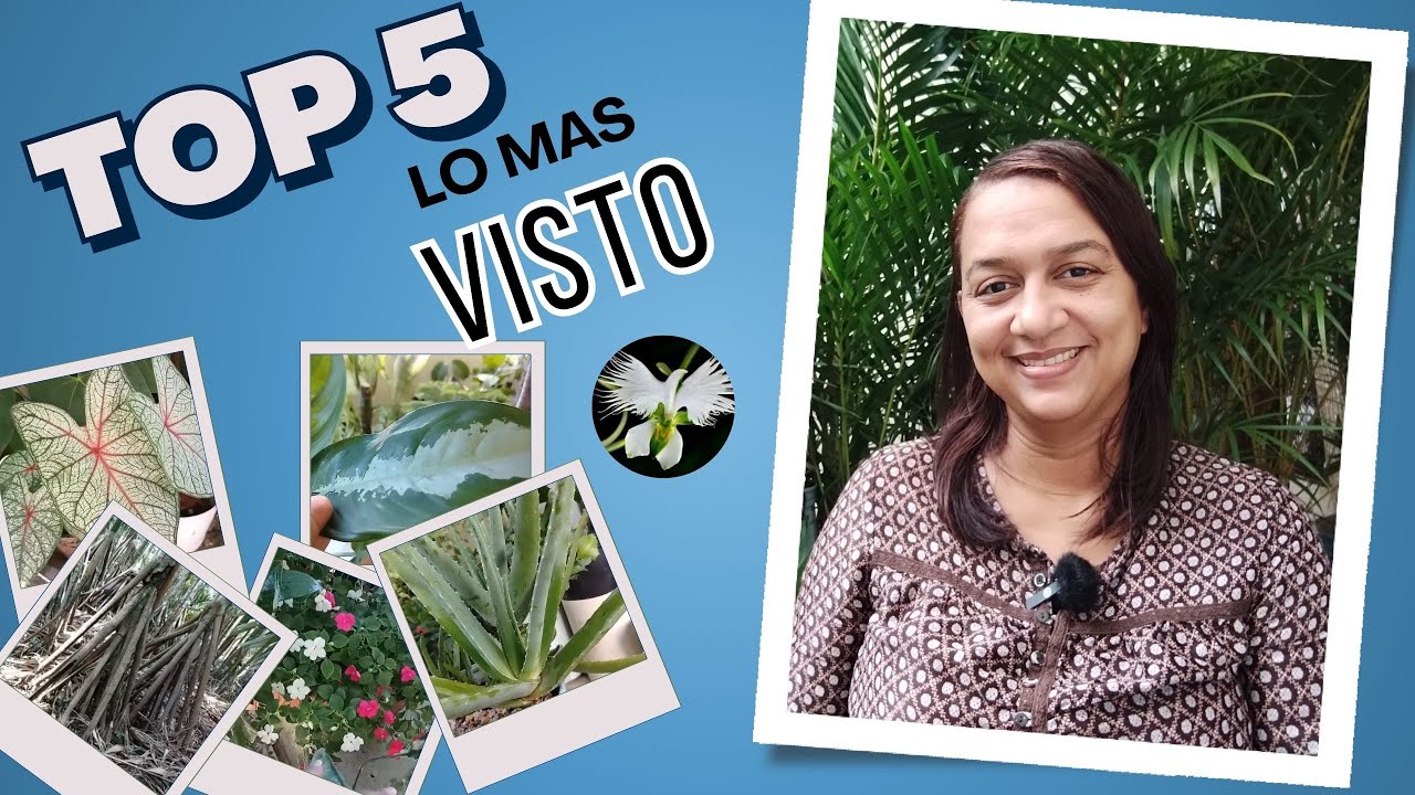 Lo Más Visto: Top 5