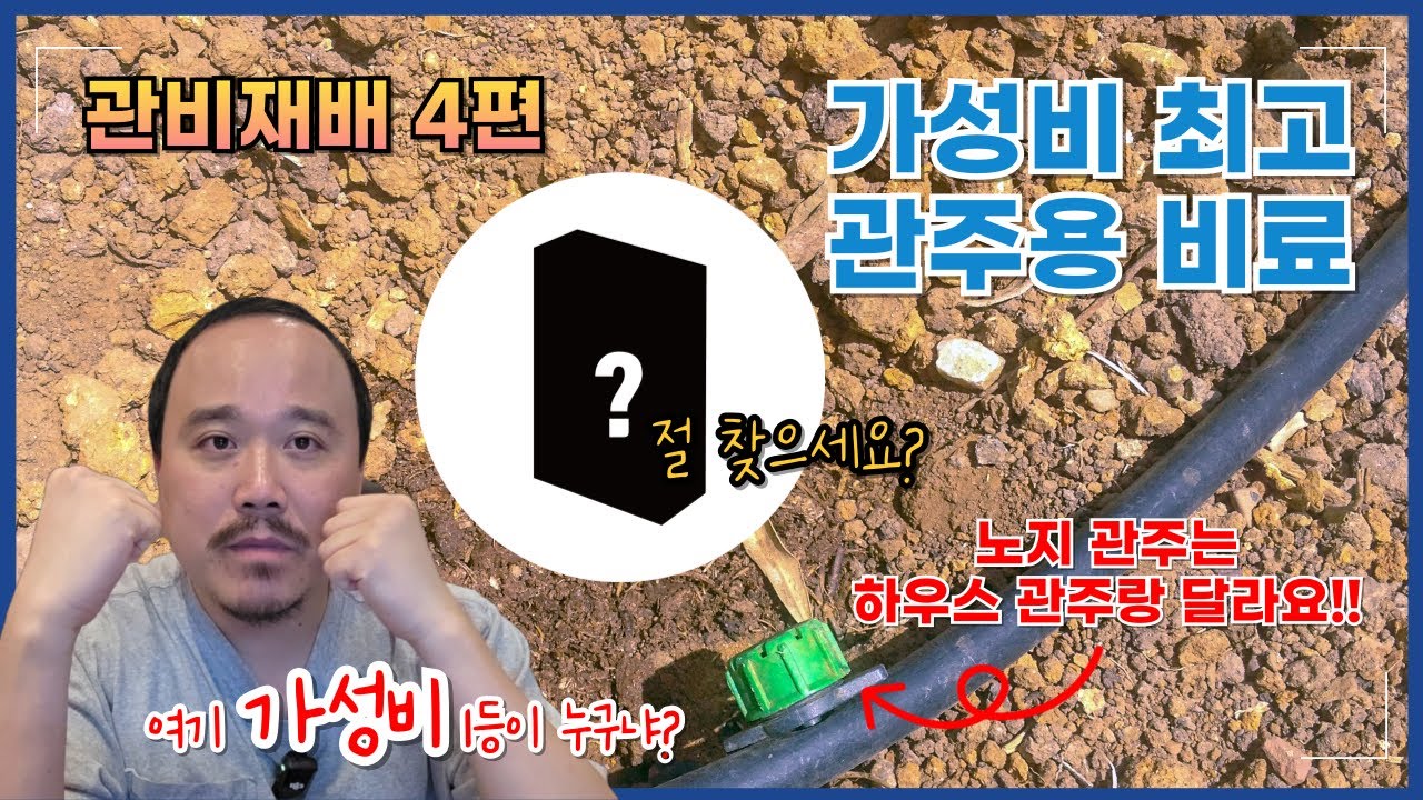 비싸다고 좋은 게 아니다! 진짜 가성비 관주비료는 이것 | 관비재배 4편 | 농사 100단