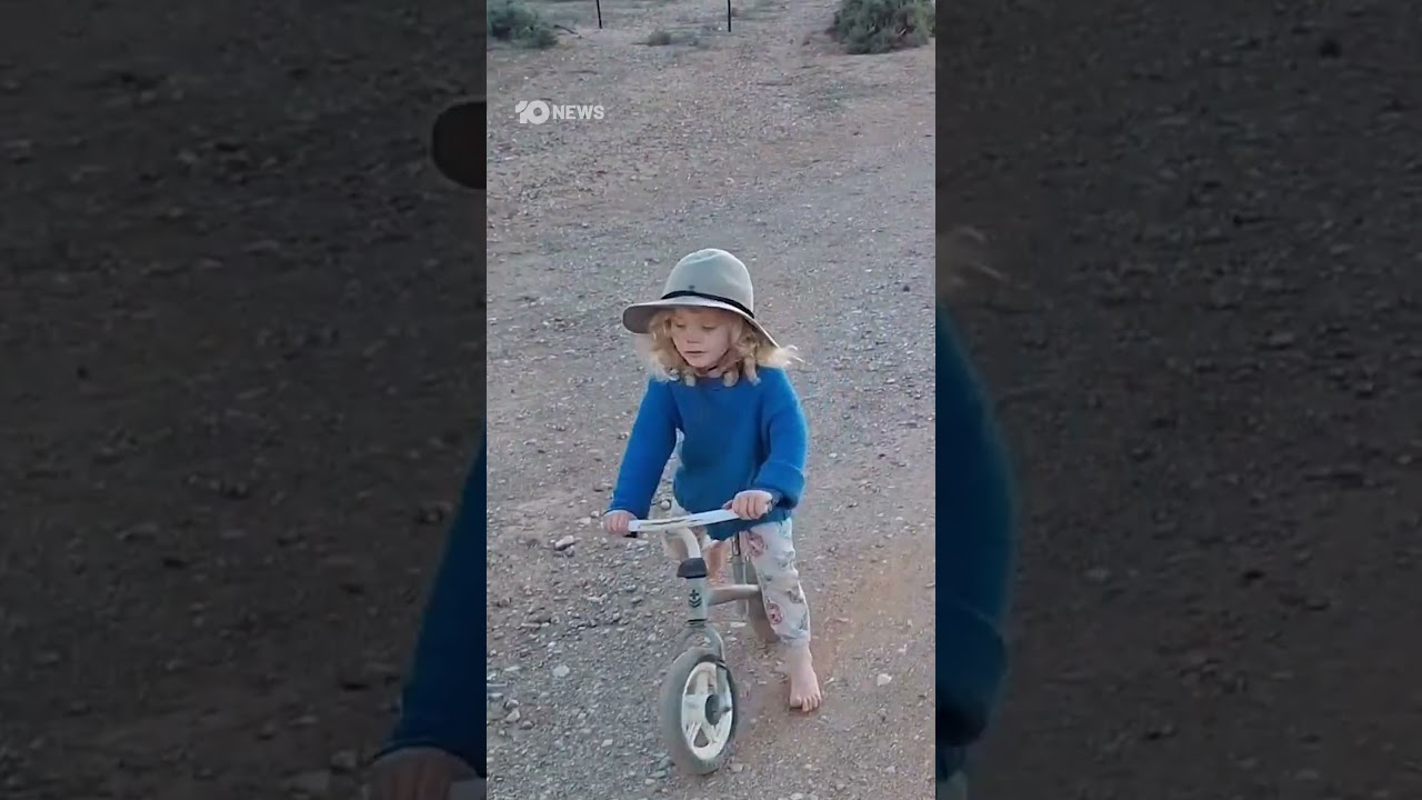 New Footage Of Gus Lamont Released | 10 News
