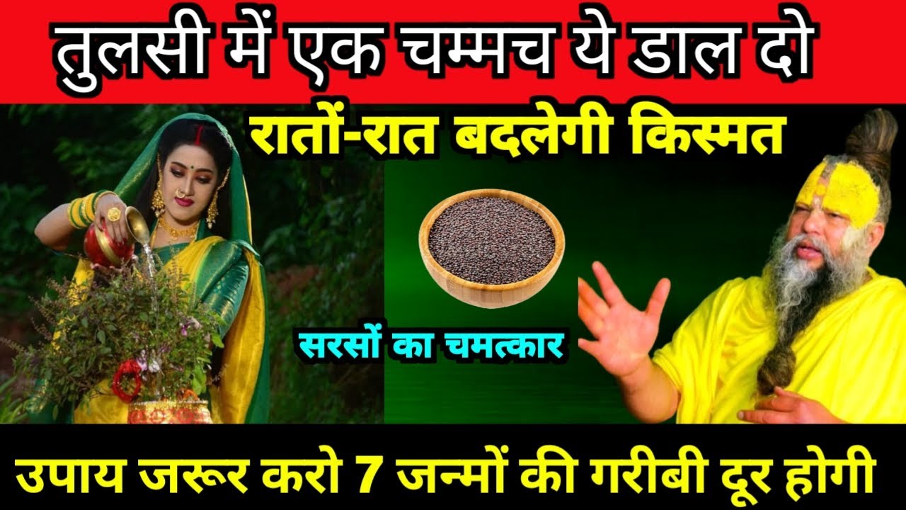 तुलसी में एक चम्मच ये डाल दो रातों-रात बदलेगी किस्मत सरसों का चमत्कार प्रेमानंदजी