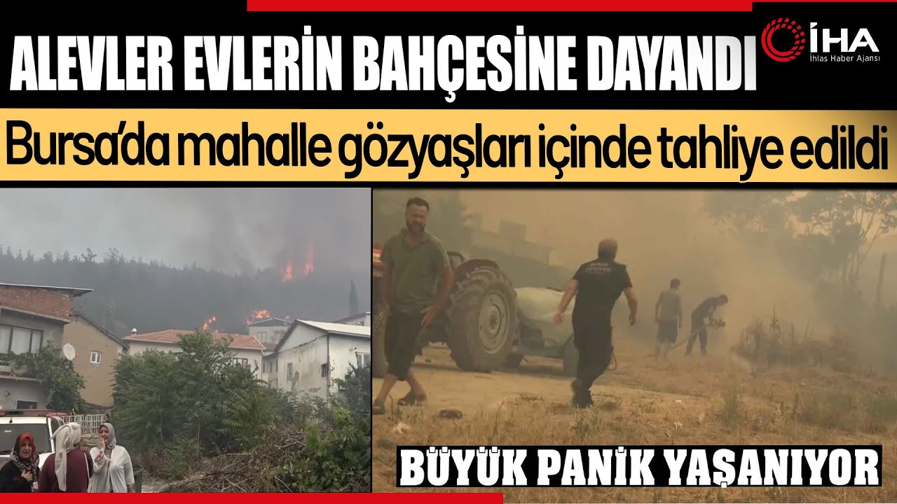 Alevler Evlere Dayandı, Mahalle Gözyaşlarıyla Boşaltıldı, Panik Yaşanıyor !
