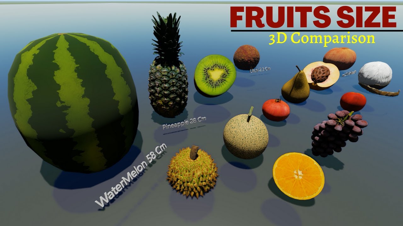 Fruits Size Comparison | 3D Fruits 🍇🍉🍊🍋🥝