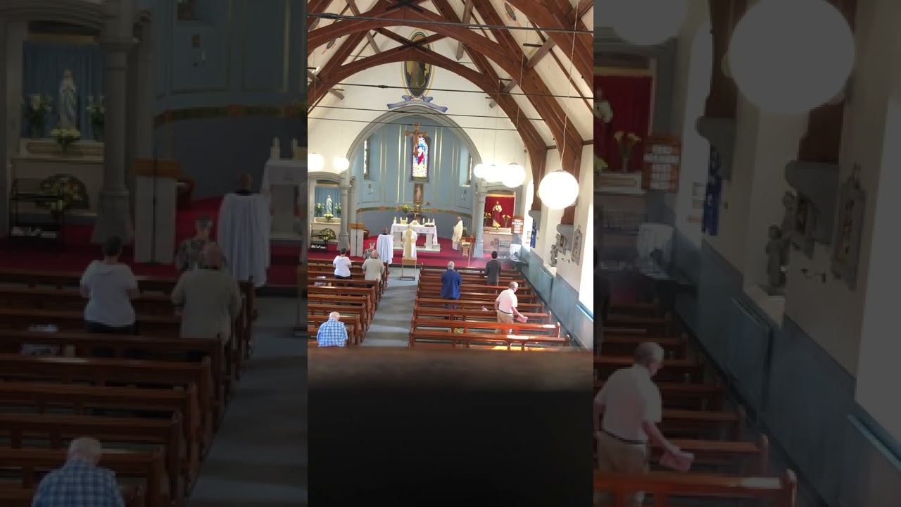 Ye who own the faith of Jesus + Introit Gaudeamus (for feast of the Assumption of BVM)