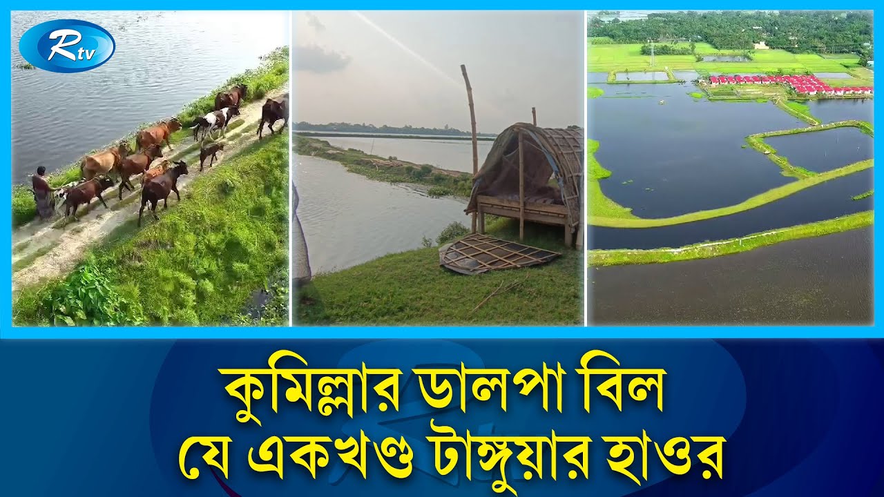 পাখির চোখে কুমিল্লায় একখণ্ড টাঙ্গুয়ার হাওর | Cumilla | Birds | Rtv News