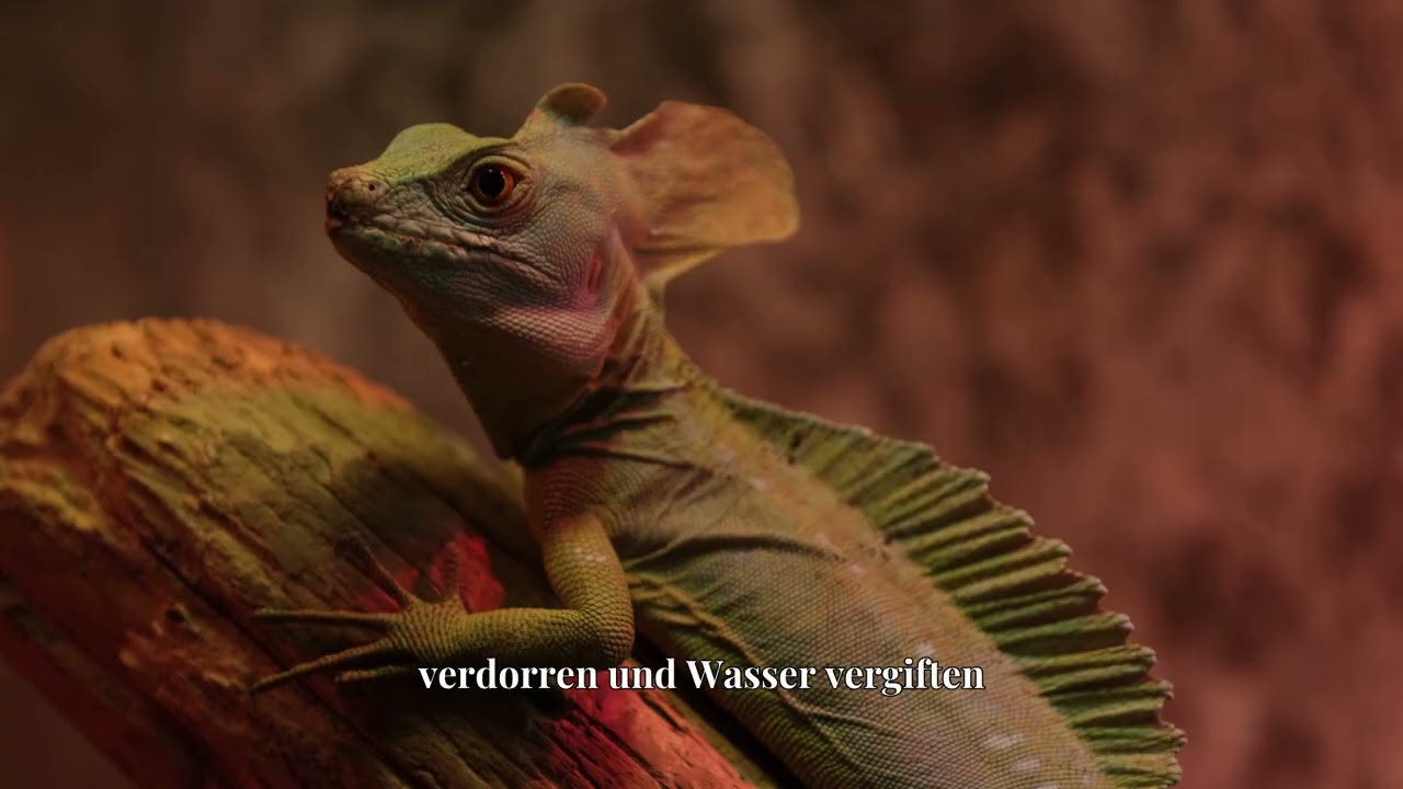 Der Basilisk  Mythos und Monster