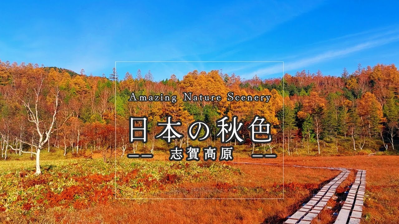 Amazing Nature Scenery for Stress Relief　志賀高原
